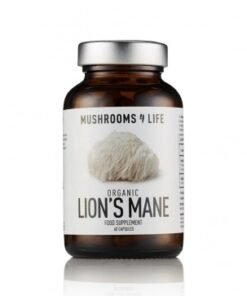 Lion's Mane capsules | Hericium erinaceus | 60 caps