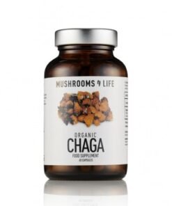 Chaga capsules | Inonotus obliquus | 60 caps