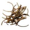 African Dream Root | Silene capensis | 5 grams