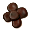 African Dream Seed | Entada rheedii | 1 Seed