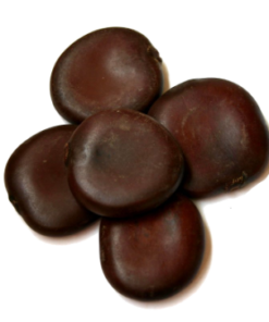 African Dream Seed | Entada rheedii | 1 Seed