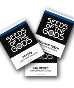 Cacti Seeds Bundle Pack | 3 species | Peyote, San Pedro, Peruvian Torch