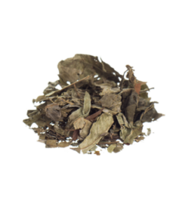 Chacruna | Psychotria viridis | 50 grams