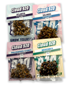 Classic Magic Truffles Value pack