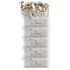 FreshMushrooms® Grow Kit 5-Pack Discount Deal