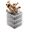 GetMagic® 3XL Grow Kit Discount Deal | Magic Mushroom Kit