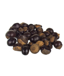 Guarana | Paullinia cupana | 50 Grams