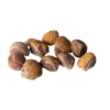 Hawaiian Baby Woodrose | Argyreia nervosa | 10 Seeds