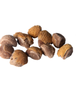 Hawaiian Baby Woodrose | Argyreia nervosa | 10 Seeds