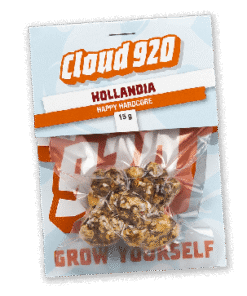 Hollandia Magic Truffles – Happy Hardcore