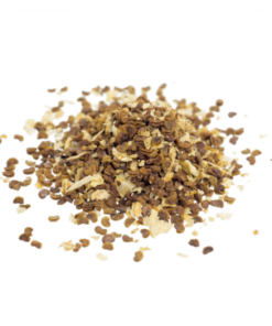 Kanna | Sceletium tortuosum | 10 Seeds