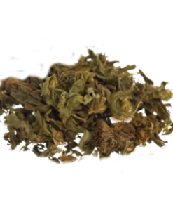 Klip Dagga | Leonotis nepetifolia | 50 Grams