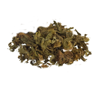 Klip Dagga | Leonotis nepetifolia | 50 Grams