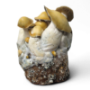 Mac Galactic Mushrooms | Cloud920® Hybrid Genetics