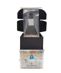Magic Mushroom Grow Kit Combi Pack — Three Brands | Magic Mushroom Kit