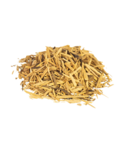 Muira Puama | Ptychopetalum olacoides
