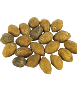 Ololiuqui seeds | Rivea corymbosa | 20 Seeds