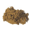 Sakae naa extract | Combretum quadrangulare | 25x - 5 g