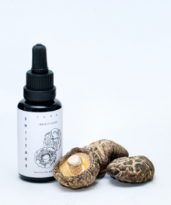 Shiitake Mushroom Tincture | Lentinula edodes | KÄÄPÄ Health