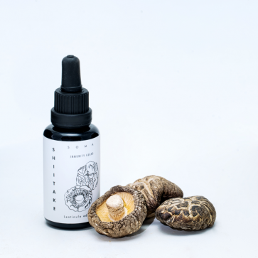 Shiitake Mushroom Tincture | Lentinula edodes | KÄÄPÄ Health