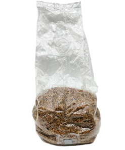 Sterile Millet Spawn Bag | 2000 ml & 4000 ml Grain Spawn