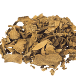 Voacanga africana | Voacanga africana | 20 grams