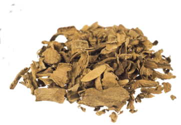 Voacanga africana | Voacanga africana | 20 grams
