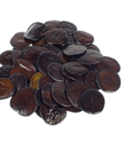 Yopo seeds | Anadenanthera peregrina - Seeds of the Gods