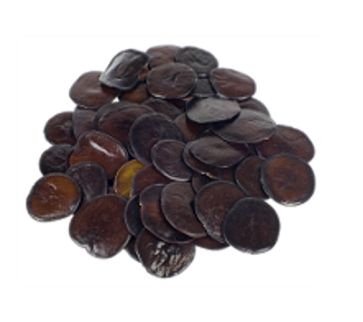 Yopo seeds | Anadenanthera peregrina - Seeds of the Gods