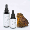 Chaga mushroom tincture | Inonotus obliquus | KÄÄPÄ Health