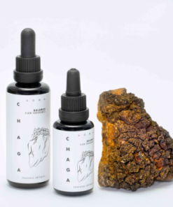 Chaga mushroom tincture | Inonotus obliquus | KÄÄPÄ Health