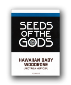 Hawaiian Baby Woodrose | Argyreia nervosa | 10 Seeds