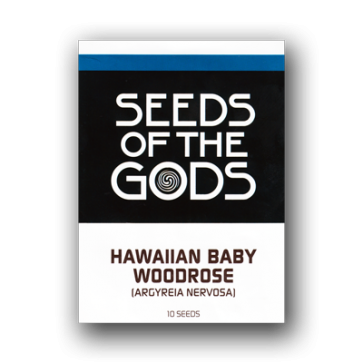 Hawaiian Baby Woodrose | Argyreia nervosa | 10 Seeds