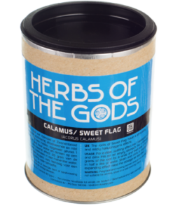 Sweet Flag | Acorus Calamus