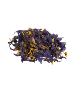 Blue lotus tincture | Nymphaea caerulea | 15:1 - 10 ml