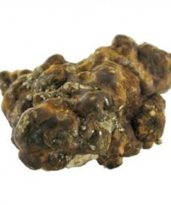Hollandia Magic Truffles – Happy Hardcore