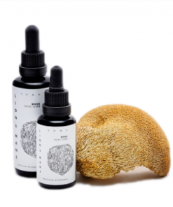 Lion's Mane mushroom tincture | Hericium erinaceus | KÄÄPÄ Health
