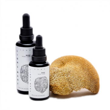 Lion's Mane mushroom tincture | Hericium erinaceus | KÄÄPÄ Health