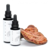 Reishi mushroom tincture | Ganoderma lucidum | KÄÄPÄ Health