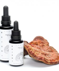 Reishi mushroom tincture | Ganoderma lucidum | KÄÄPÄ Health