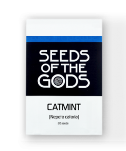 Catmint seeds | Nepeta cataria | 1 gram / 1700 seeds