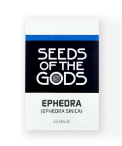 Ephedra | Ephedra sinica | 20 seeds