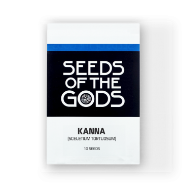 Kanna | Sceletium tortuosum | 10 Seeds