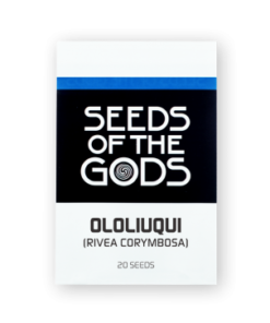 Ololiuqui seeds | Rivea corymbosa | 20 Seeds