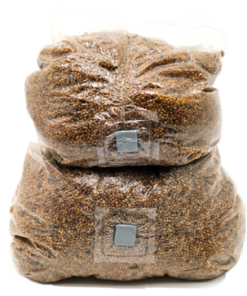 Sterile Millet Spawn Bag | 2000 ml & 4000 ml Grain Spawn