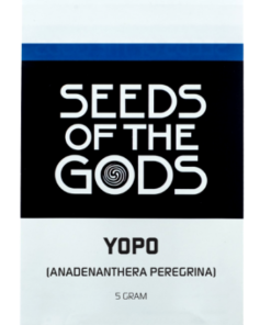 Yopo seeds | Anadenanthera peregrina - Seeds of the Gods